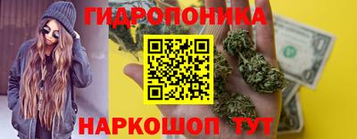 a pvp Тавда