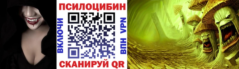 дарнет шоп  Губкин  Псилоцибиновые грибы Psilocybine cubensis 