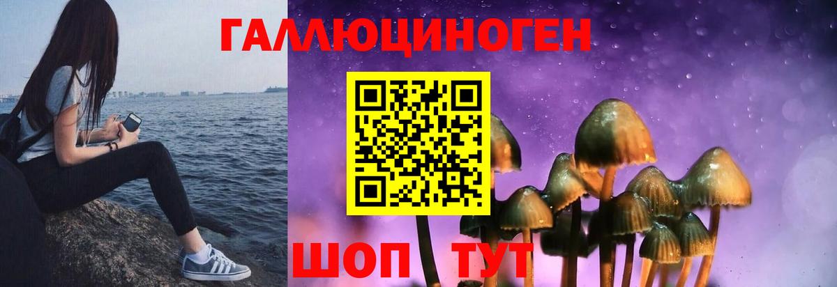 Псилоцибиновые грибы ЛСД  Вход с VPN  Галлюциногенные грибы MAGIC MUSHROOMS  Губкин 